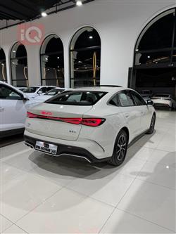 بي واي دي سيل 06 DM-i